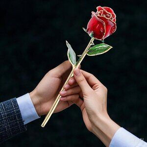 NEW 24k Gold Rose Valentines Day Gifts for Her Women,Real Rose Dipped 24K Gold
